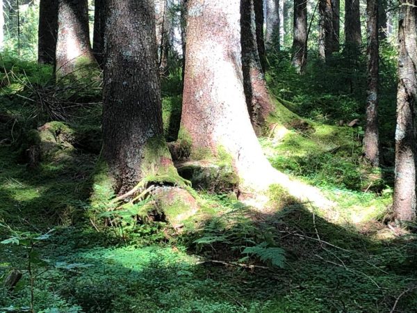 Jerusalem März 2020